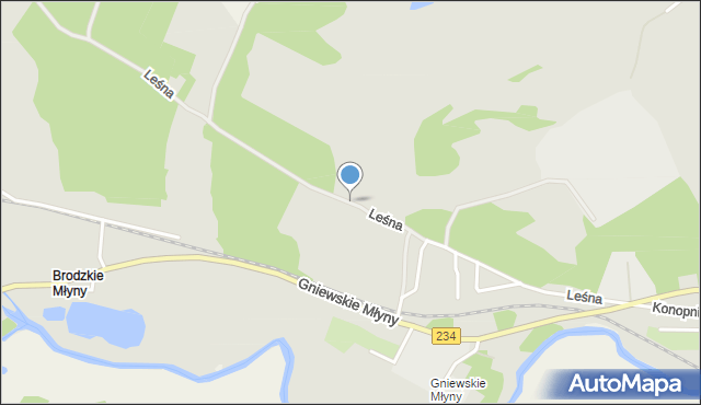 Gniew, Leśna, mapa Gniew