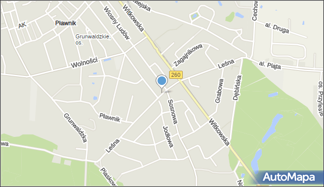 Gniezno, Leśna, mapa Gniezna