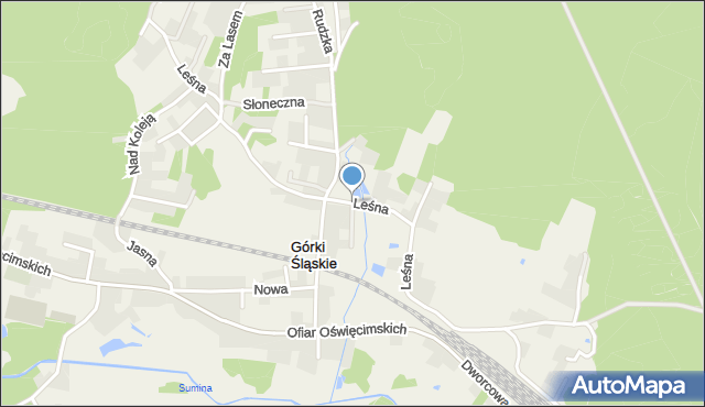 Górki Śląskie, Leśna, mapa Górki Śląskie