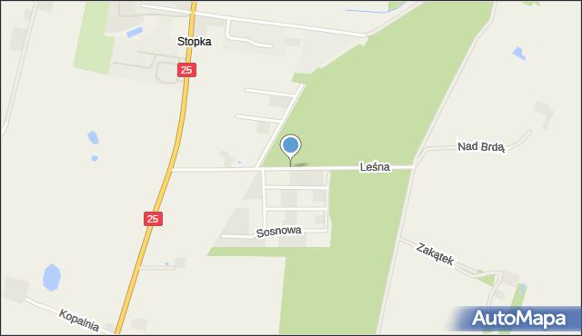 Gościeradz, Leśna, mapa Gościeradz