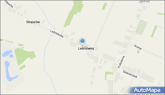 Grzymałków, Leśniówka, mapa Grzymałków