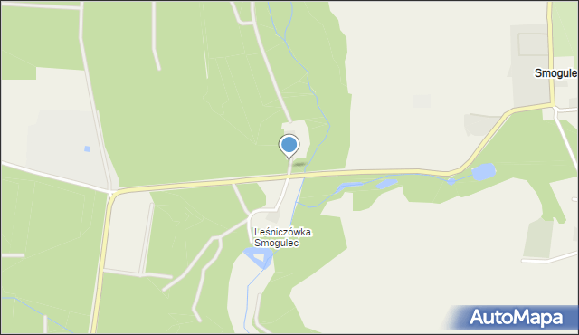 Janinów gmina Chodzież, Leśnictwo Smogulec, mapa Janinów gmina Chodzież