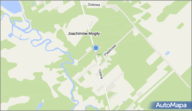 Joachimów-Mogiły, Leśna, mapa Joachimów-Mogiły