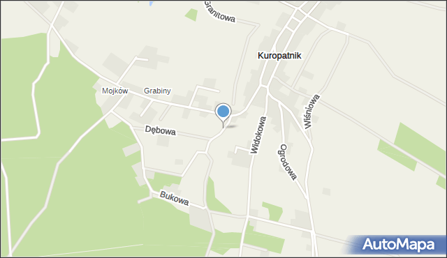 Kuropatnik, Letniskowa, mapa Kuropatnik