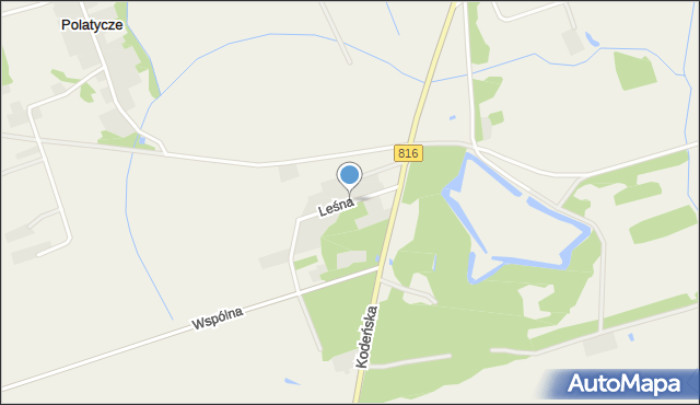 Lebiedziew, Leśna, mapa Lebiedziew