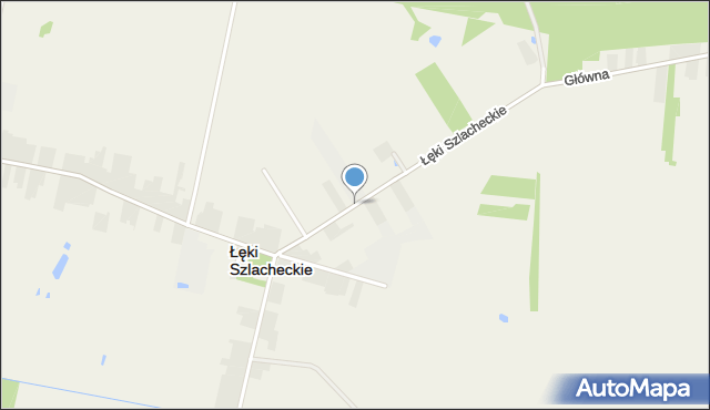 Łęki Szlacheckie, Łęki Szlacheckie, mapa Łęki Szlacheckie