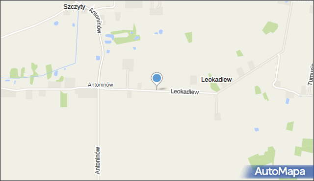 Leokadiew, Leokadiew, mapa Leokadiew