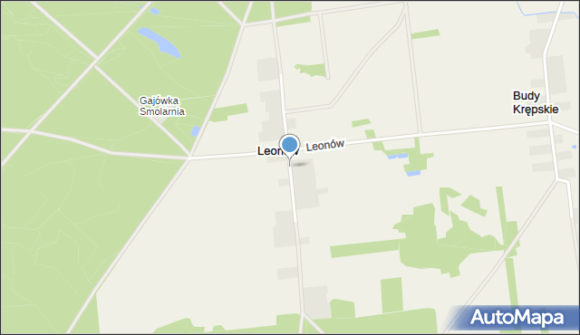 Leonów gmina Maciejowice, Leonów, mapa Leonów gmina Maciejowice