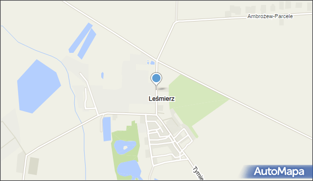 Leśmierz, Leśmierz, mapa Leśmierz