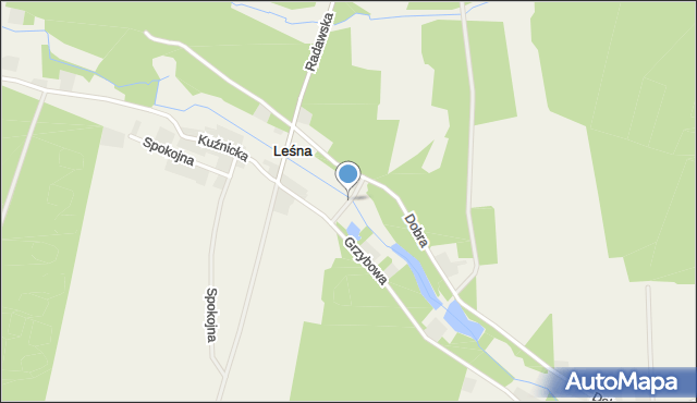 Leśna gmina Olesno, Leśna, mapa Leśna gmina Olesno