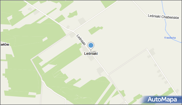 Leśniaki gmina Rusiec, Leśniaki, mapa Leśniaki gmina Rusiec