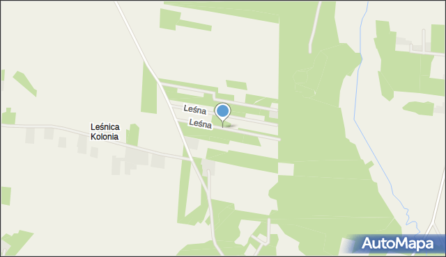 Leśnica gmina Wodzierady, Leśna, mapa Leśnica gmina Wodzierady