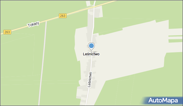 Leśnictwo gmina Ślesin, Leśnictwo, mapa Leśnictwo gmina Ślesin