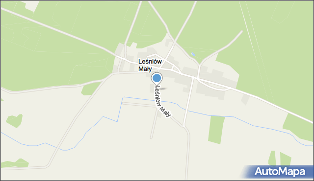 Leśniów Mały, Leśniów Mały, mapa Leśniów Mały