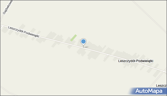 Leszczydół-Podwielątki, Leszczydół-Podwielątki, mapa Leszczydół-Podwielątki