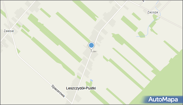 Leszczydół-Pustki, Leszczydół-Pustki, mapa Leszczydół-Pustki