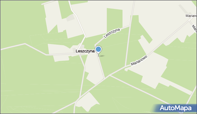 Leszczyna gmina Strzegowo, Leszczyna, mapa Leszczyna gmina Strzegowo
