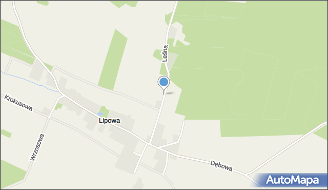 Lipowa gmina Dąbrowa, Leśna, mapa Lipowa gmina Dąbrowa