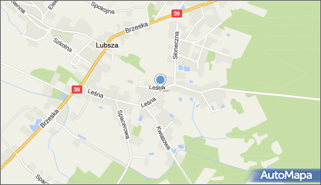 Lubsza powiat brzeski, Leśna, mapa Lubsza powiat brzeski