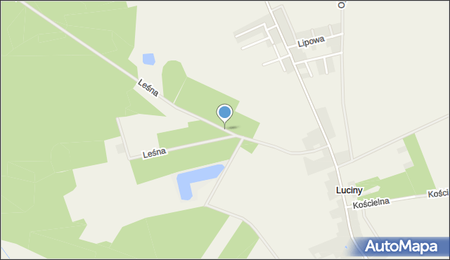 Luciny, Leśna, mapa Luciny