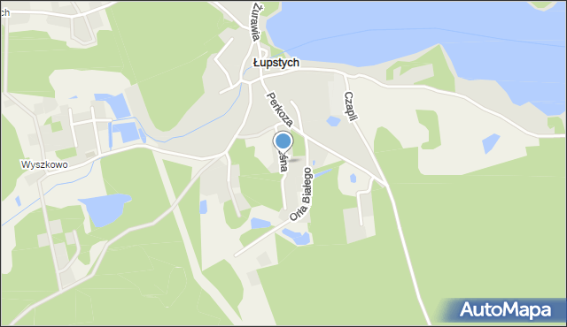 Łupstych, Leśna, mapa Łupstych