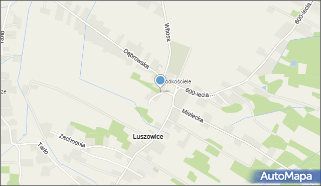 Luszowice gmina Radgoszcz, Leśniaka Józefa, ks., mapa Luszowice gmina Radgoszcz