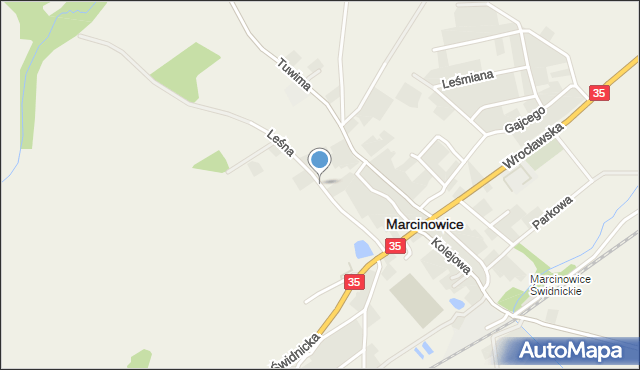 Marcinowice powiat świdnicki, Leśna, mapa Marcinowice powiat świdnicki