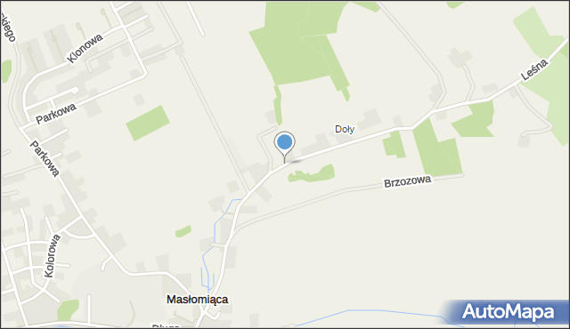 Masłomiąca, Leśna, mapa Masłomiąca