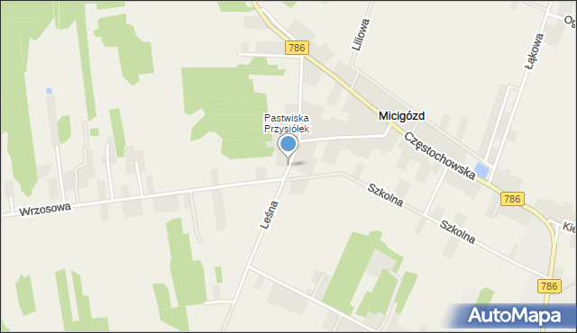 Micigózd, Leśna, mapa Micigózd