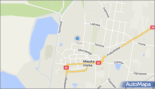 Miejska Górka, Leśna, mapa Miejska Górka