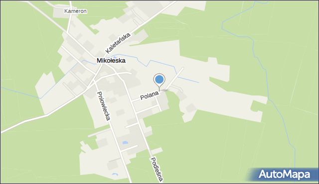Mikołeska, Leśna Polana, mapa Mikołeska