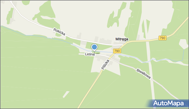 Mitręga, Leśna, mapa Mitręga