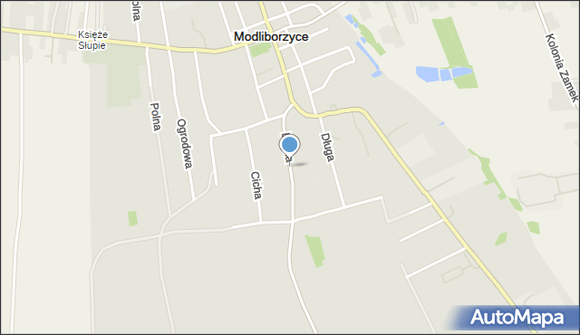 Modliborzyce powiat janowski, Leśna, mapa Modliborzyce powiat janowski