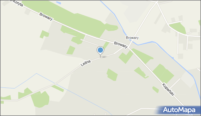 Myszyniec, Leśna, mapa Myszyniec