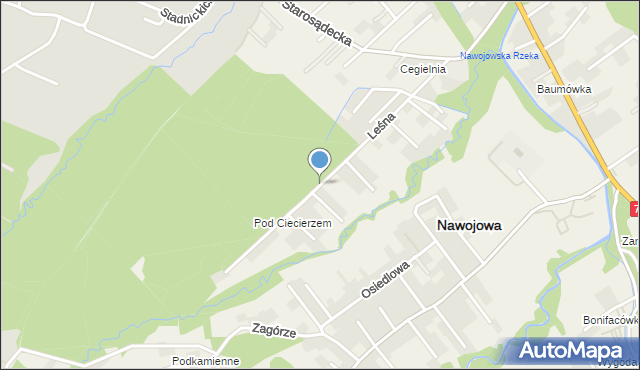 Nawojowa, Leśna, mapa Nawojowa