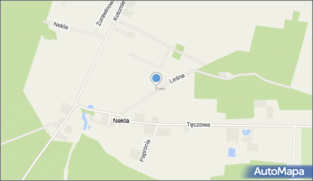 Nekla gmina Dobrcz, Leśna, mapa Nekla gmina Dobrcz