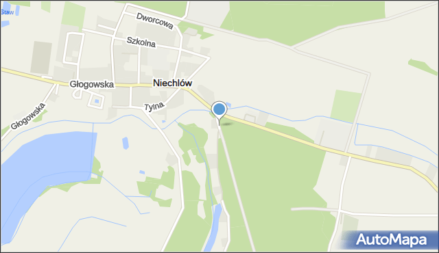 Niechlów, Leśna, mapa Niechlów