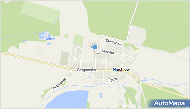 Niechlów, Leszczyńska, mapa Niechlów