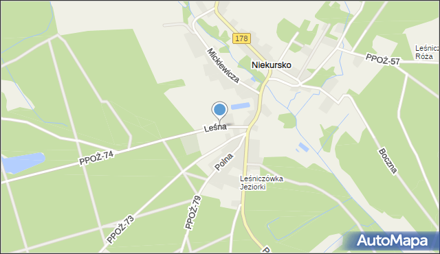 Niekursko, Leśna, mapa Niekursko