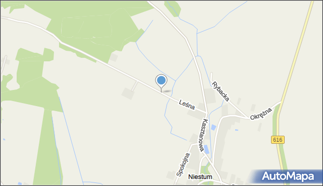 Niestum, Leśna, mapa Niestum