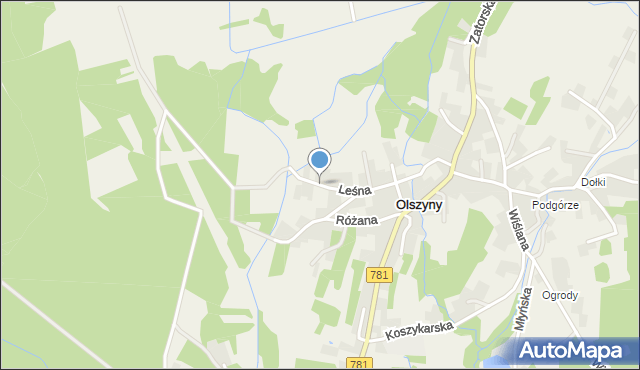 Olszyny gmina Babice, Leśna, mapa Olszyny gmina Babice