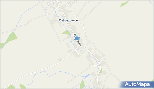 Ostroszowice, Leśna, mapa Ostroszowice