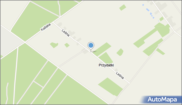 Parzniewice, Leśna, mapa Parzniewice