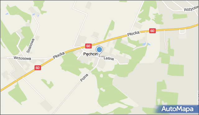 Pęchcin, Leśna, mapa Pęchcin