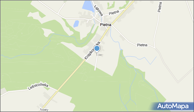 Pietna, Leśna, mapa Pietna