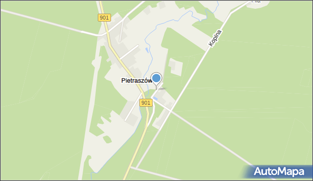 Pietraszów, Leśna, mapa Pietraszów