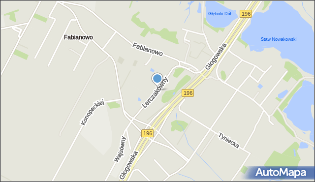 Poznań, Lerczakówny Barbary, mapa Poznania