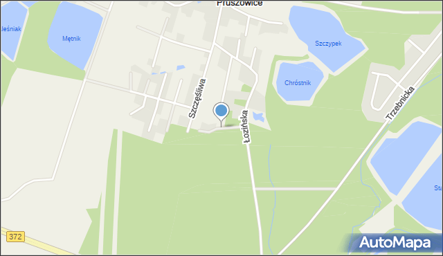 Pruszowice, Leśna, mapa Pruszowice