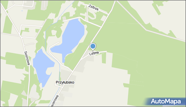 Przyłubsko, Leśna, mapa Przyłubsko