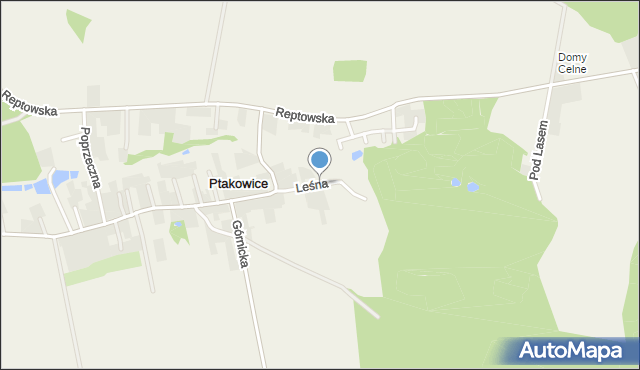 Ptakowice gmina Zbrosławice, Leśna, mapa Ptakowice gmina Zbrosławice